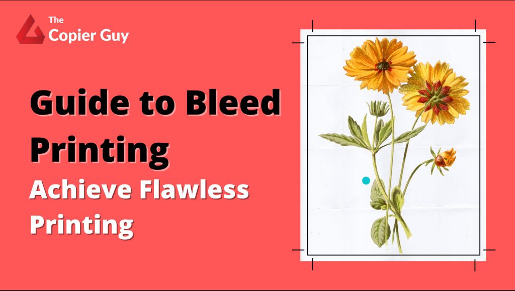 Guide To Bleed Printing